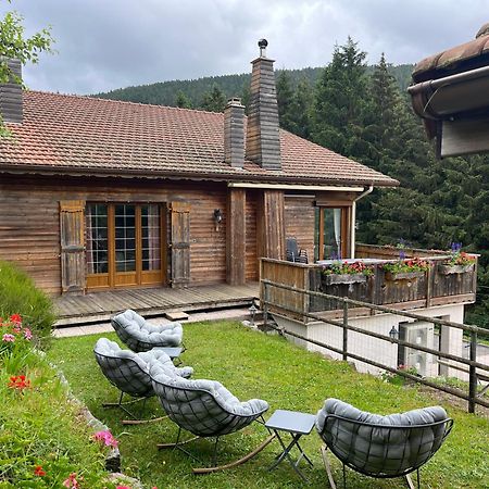 Bed and Breakfast Au 21 Vosgien Ventron Zewnętrze zdjęcie