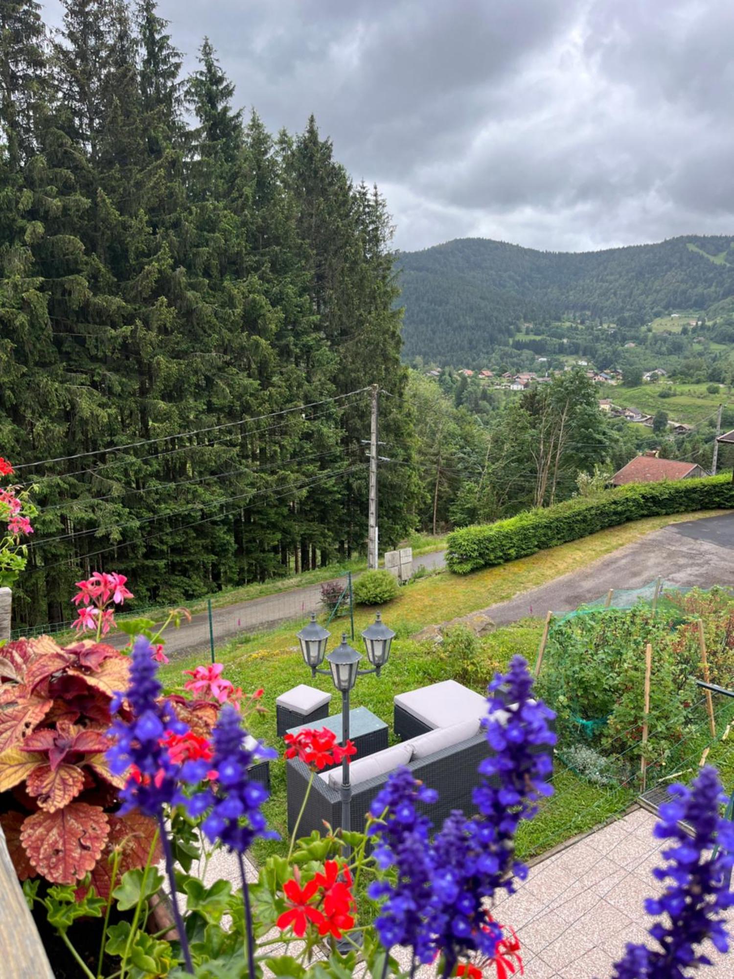 Bed and Breakfast Au 21 Vosgien Ventron Zewnętrze zdjęcie